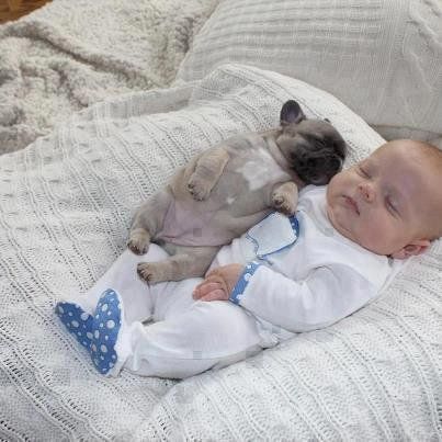 Baby und Hundewelpe schlafen
