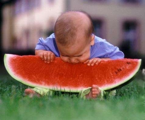 Baby beißt beherzt in große Wassermelone