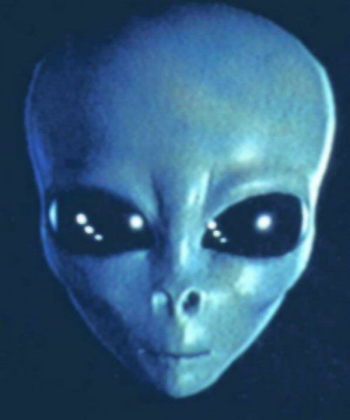 Alien Gesicht mit kleiner Nase und riesigen Augen