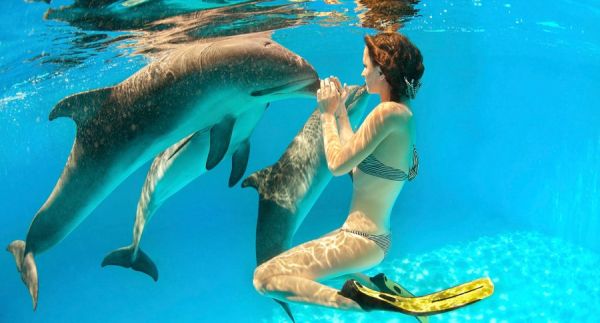 Taucherin spielt mit zwei Delfinen