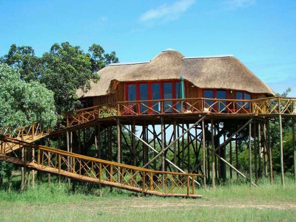 Tolles Baumhaus in Afrika