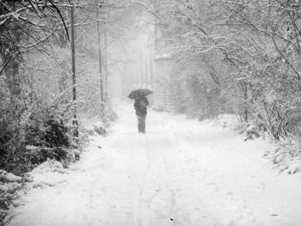 Spaziergänger läuft durch verschneiten Wald